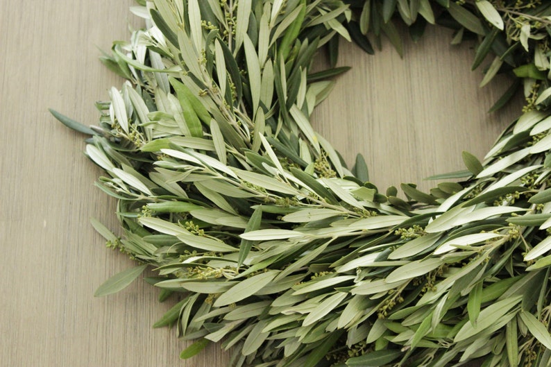 Fresh Olive Branch Wreath for Front Door, Wall, Window, Home Décor Free Shipping various sizes available image 2