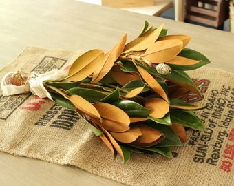 Fresh Magnolia Tips 5 stem bunch