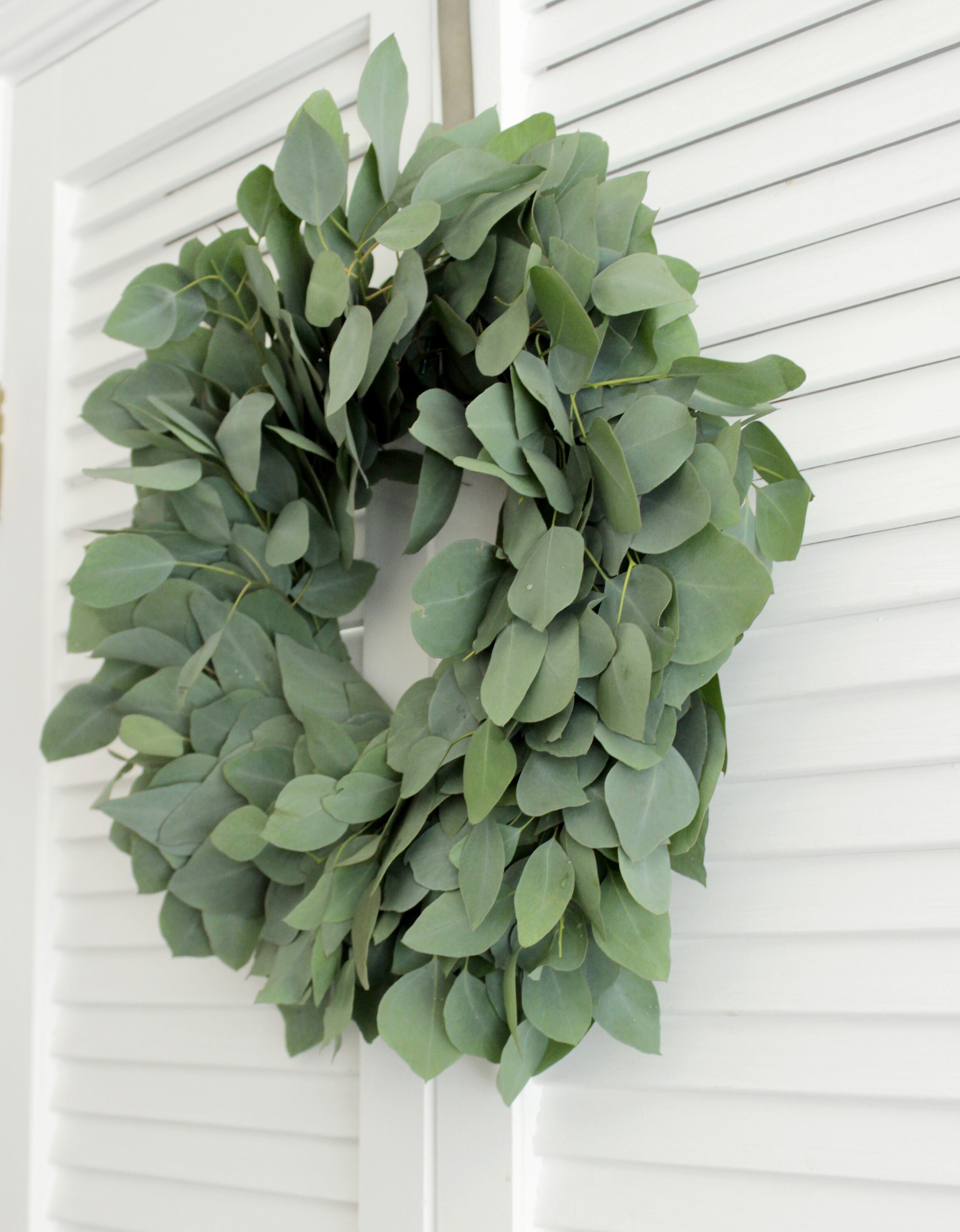 Fresh Handmade Eucalyptus Wreath Silver Dollar Eucalyptus 16 Etsy