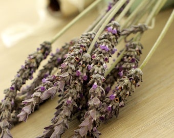 Fresh English Lavender Flower - 15 stems (True Lavender | Common Lavender)