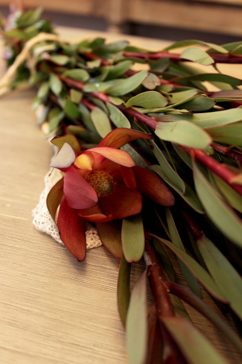 Safari Sunset Leucadenron free shipping Christmas Flowers DIY Wedding Showers Event Holiday Decorations image 5