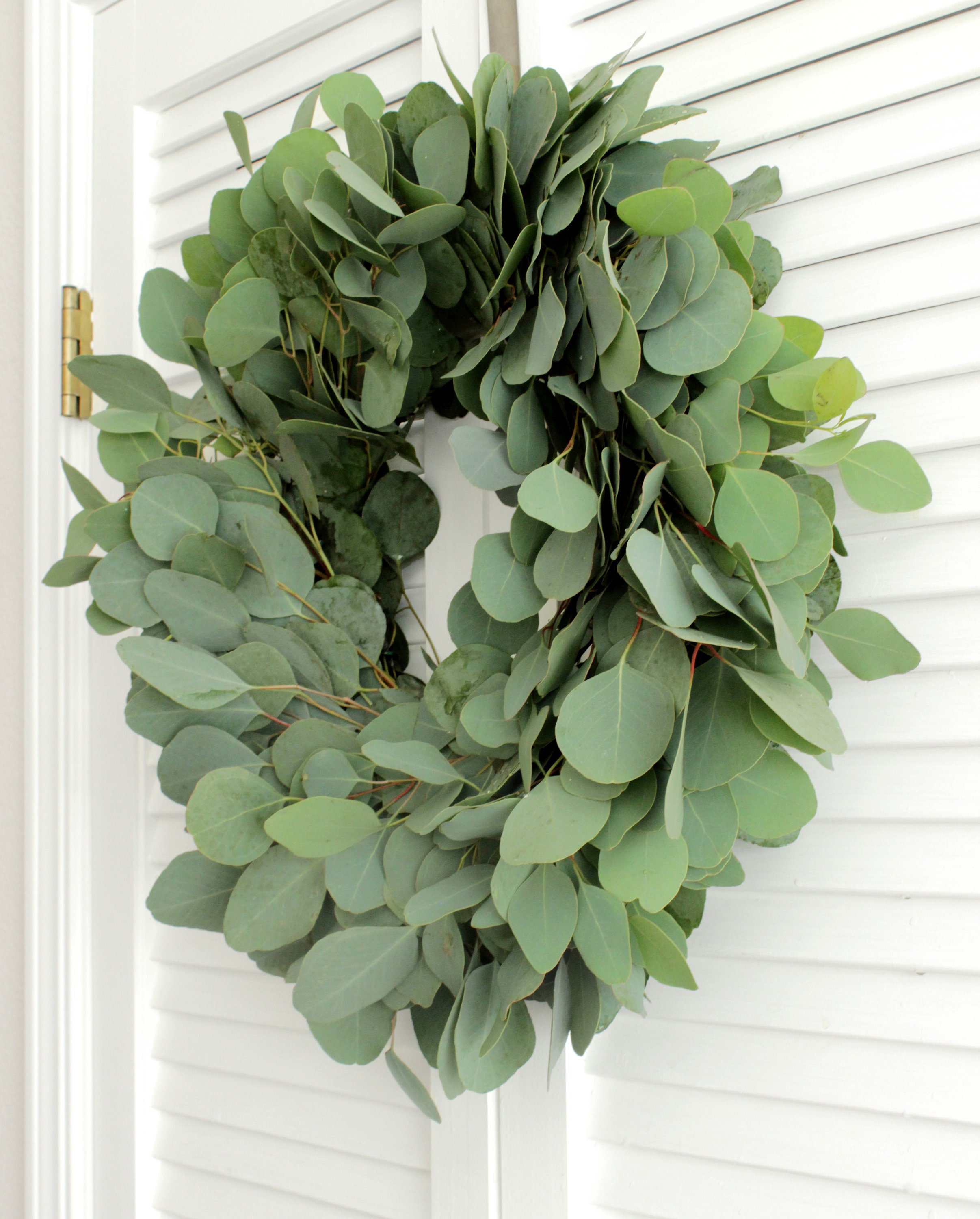 Fresh Silver Dollar Eucalyptus Wreath Greenery Wreath for Etsy