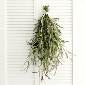 Fresh Grevillea Foliage - Free Shipping - for DIY Wedding | Bouquet | Table Runner | Home Decor | Greenery