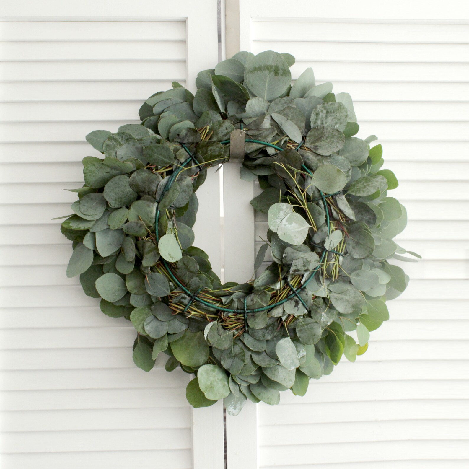 Fresh Silver Dollar Eucalyptus Wreath Greenery Wreath for Etsy