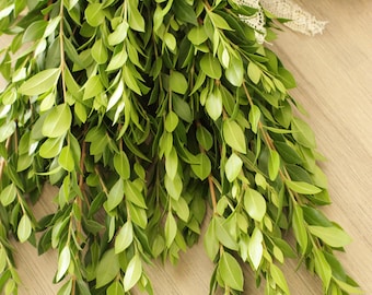 Fresh Cut Myrtle 20 stems (free shipping) - DIY Wedding | Showers | Event | Holidays