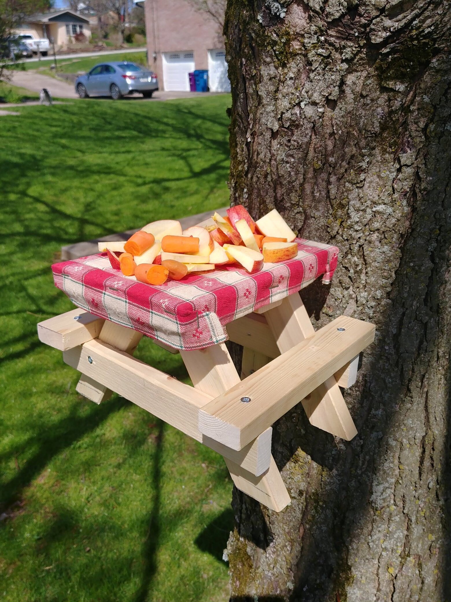 Assembled OR DIY Kit for Squirrel Picnic Table Etsy
