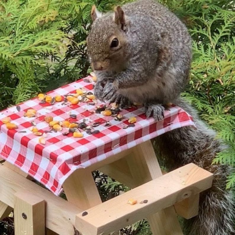 Assembled OR DIY Kit for Squirrel Picnic Table Etsy