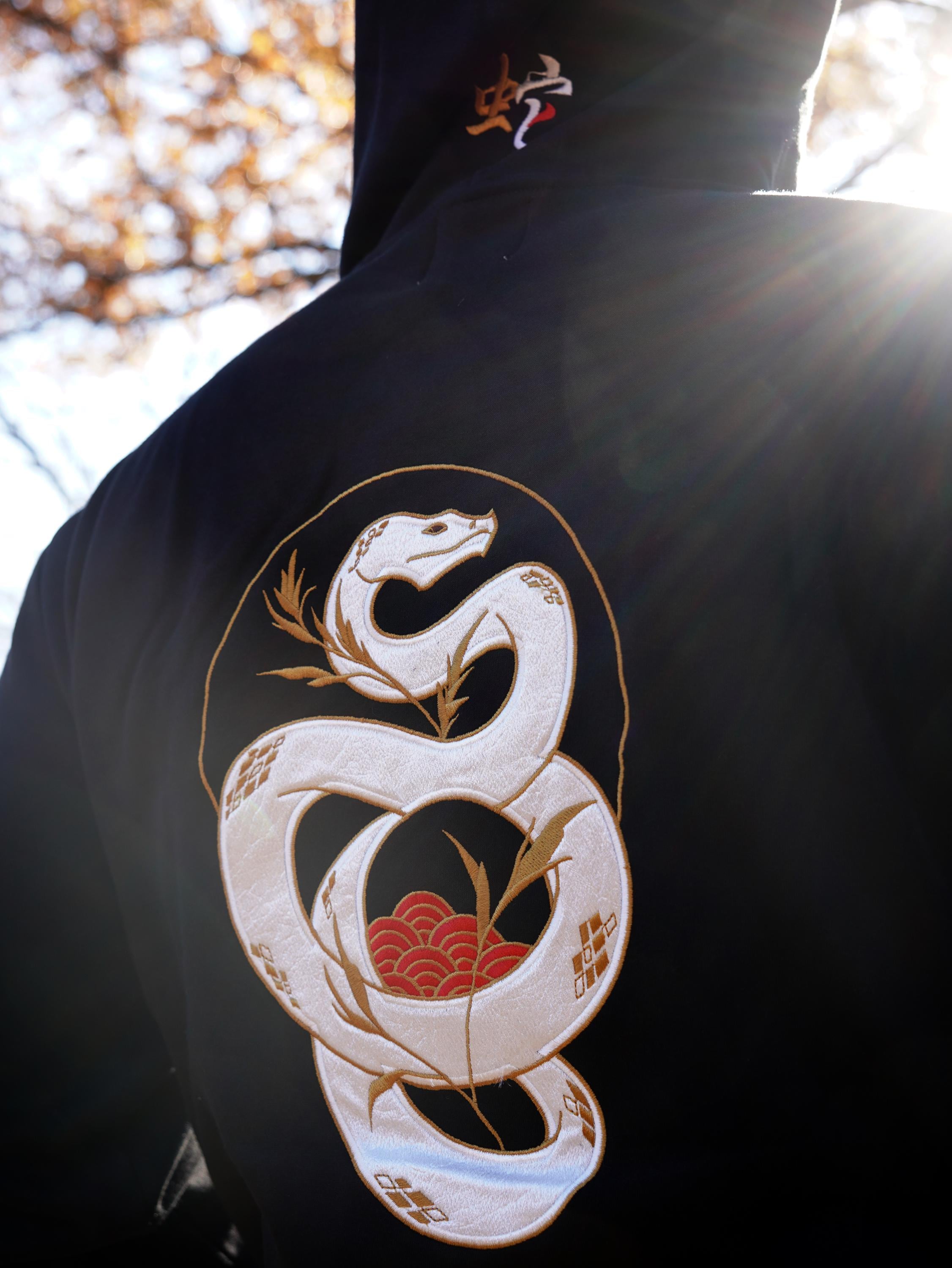 Embroidered Snake Hoodie - Etsy