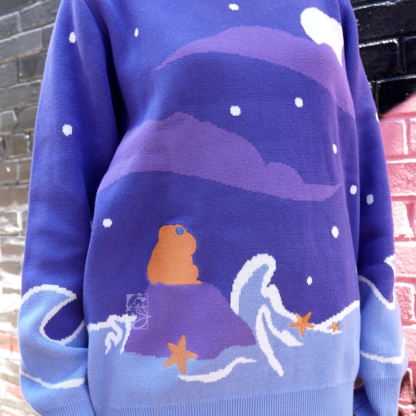 Moonlight Dreamer 100% Cotton Knitted Sweater | Navy and Purple Fantasy Cute Space Frog Crewneck