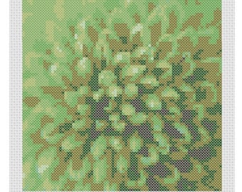 Green Chrysanthemum flower, full coverage PDF cross stitch pattern.