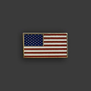 US Flag Pin | United States American Flag Hard Enamel Lapel Pin | Doheny NYC Familiar Flags