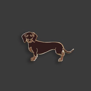 Puede incluir: Un pin de perro salchicha marrón con ribete dorado. El perro está de pie, mirando hacia la derecha, con la cola rizada. El pin tiene un acabado brillante y está sobre un fondo gris oscuro.