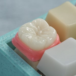 The Molar