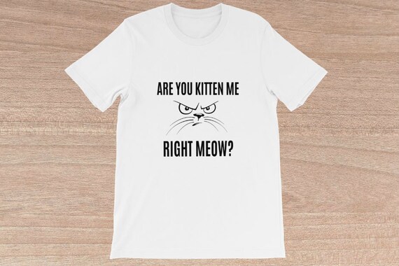 cat pun shirt