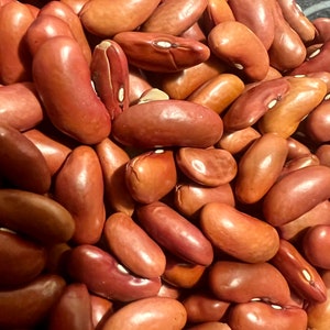 May include: A close-up image of a pile of red kidney beans. The beans are smooth and shiny, with a slightly reddish-brown hue.