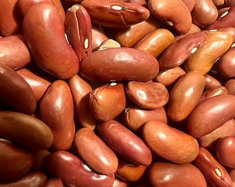 Ripkitty Red Kidney Beans Seed Grains Drought-Tolerant