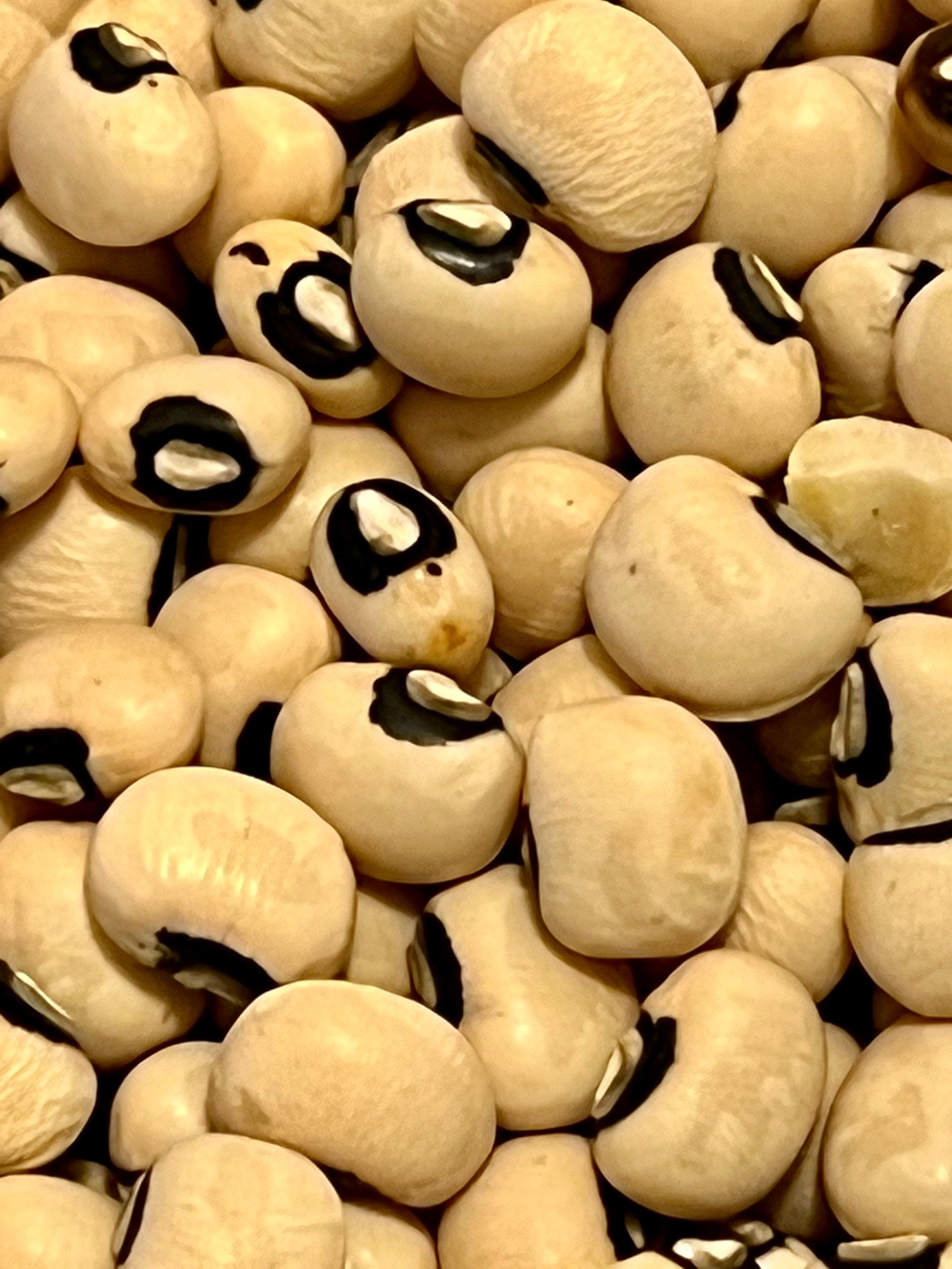 Single Pea Seed single-pea-seed