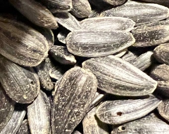 Ripkitty Premium Black Sunflower Seeds Grow Your Own!