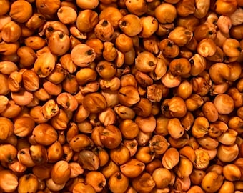 Ripkitty Grow Your Own Sorghum Bicolor Milo Seeds