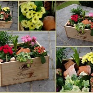 Garden Planter, Wooden Wine Boxes / Crates ~ Perfect for seed tray & plants ~ Spring, Gardening, Vegetables, Flowers.