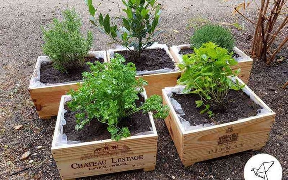 Garten-Pflanzer, Weinkisten / Holzkisten / Kisten ~ Ideal für Saatschalen ~ Frühling, Gartenarbeit, Gemüse, Blumen