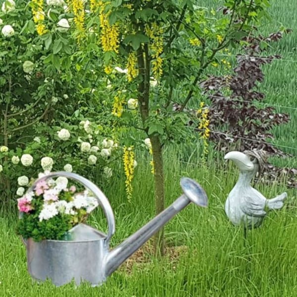 Pichet en zinc, aide au jardin, pichet, décoration de jardin, arrosoir « Zinki » FF109262