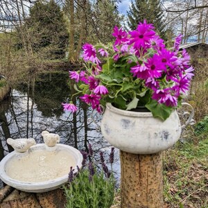 Plant pot, ceramic pot, garden decoration, terracotta planter, planter antique wide without foot 02402430ER image 3