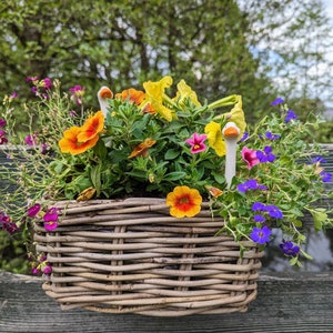 Balcony box, plant box, rattan, flower box, plant pot image 1