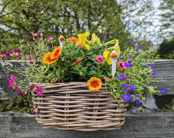 Balkonkasten, Pflanzkasten, Rattan, Blumenkasten, Pflanztopf