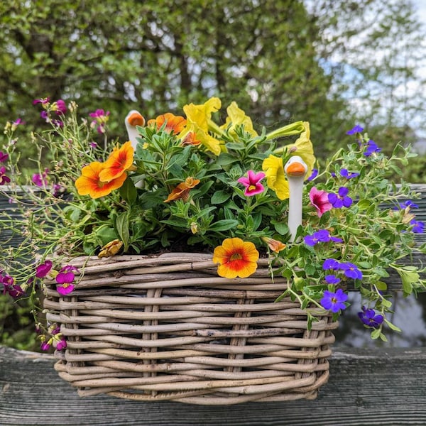 Balkonkasten, Pflanzkasten, Rattan, Blumenkasten, Pflanztopf