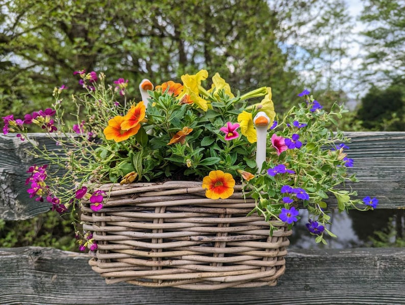 Balcony box, plant box, rattan, flower box, plant pot image 1