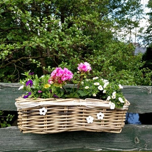 Balcony box, plant box, rattan, flower box, plant pot Kasten mittel+Deko