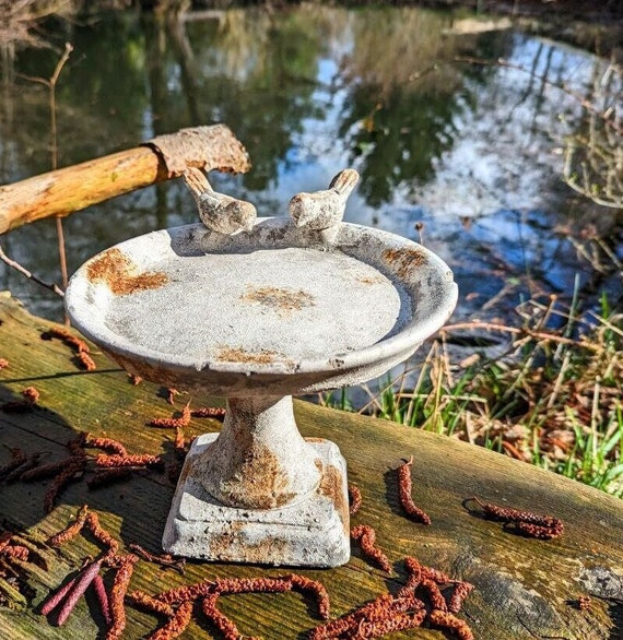 Where to Buy Bird Bath: Top Spots for Perfect Garden Decor