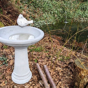 XXL Zement Vogeltränke in zwei Farben, Vogeldeko, Gartendeko, Vogelhaus, Vogelbrunnen Bird 0505500KL Bild 7