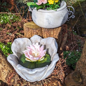 Plant pot, bird bath, cement pot, planter, planter flower shape image 4