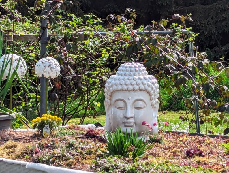 großer Brunnen Zen Buddha Kopf aus Keramik für innen und außen mit LED Beleuchtung creme-grau Feng shui Bild 2