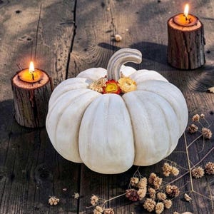 Grande zucca color crema con fiori secchi, decorazione autunnale, decorazione da tavola, zucche, decorazioni