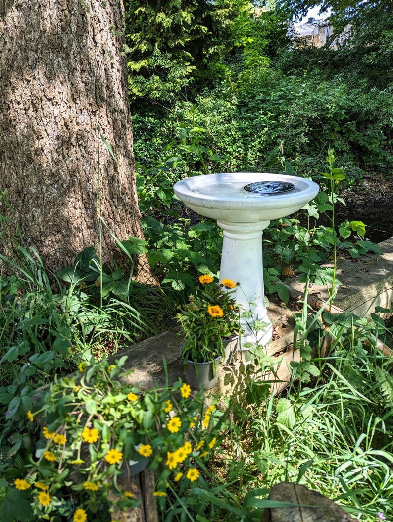 XXL Zement Vogeltränke in zwei Farben, Vogeldeko, Gartendeko, Vogelhaus, Vogelbrunnen Bird 0505500KL Tränke weiß