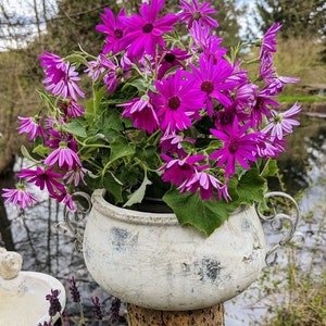 Plant pot, ceramic pot, garden decoration, terracotta planter, planter antique wide without foot 02402430ER image 4