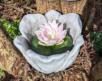 Pot de plantes, bain d'oiseaux, pot en ciment, jardinière, jardinière forme fleur