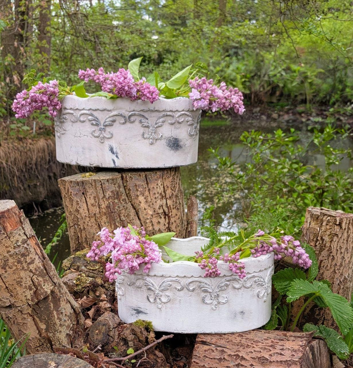 salbei blumenkasten Balkonbox Happy Bee kaufen