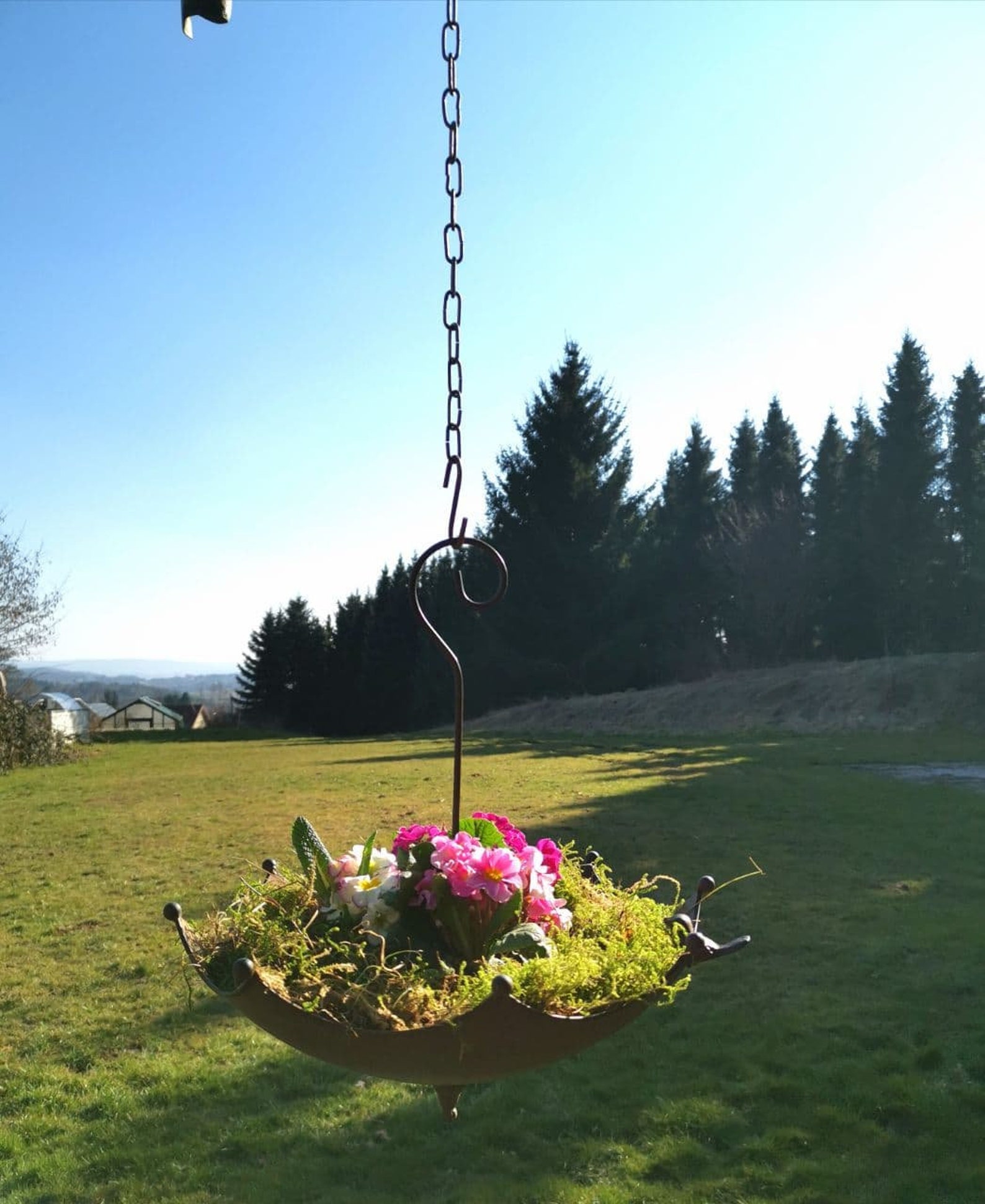 Bird Bath umbrella Etsy