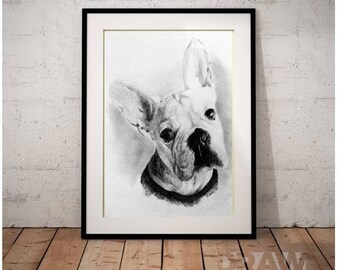 Custom Pet Portraits hand drawn in pencil