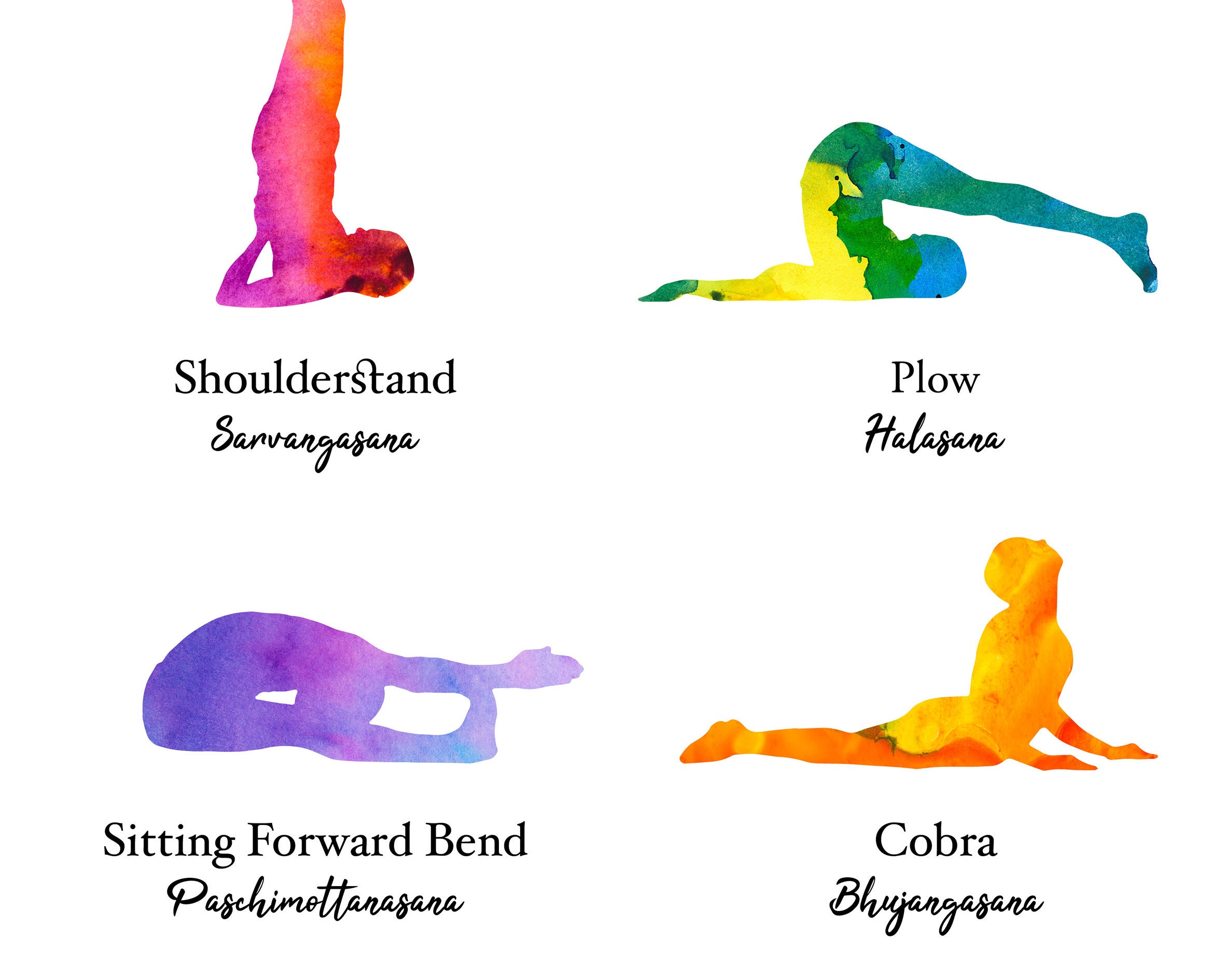 12 Yoga Poses With English and Sanskrit Names, Yoga Print, Yoga Asana Poster, Yoga Sequence Etsy