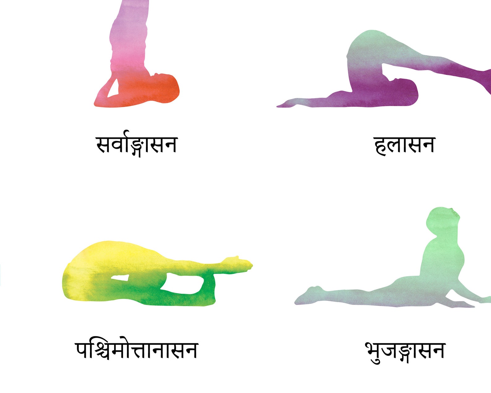 Basic Poses Sanskrit Yoga Poster, Yoga Asana Print, Yoga Gift