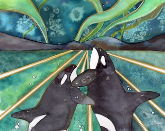 Aurora Orcas