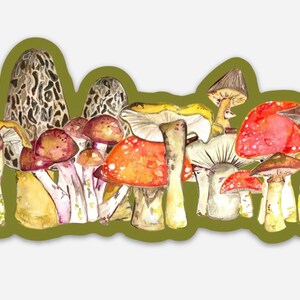 Fungi Forager Vinyl Decal