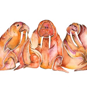 Quarantine Trio- Walrus Pals