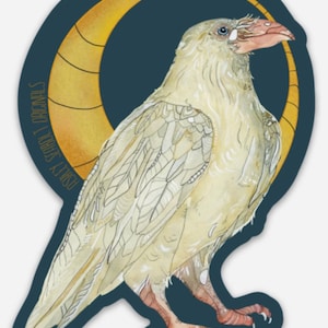 White Raven Vinyl Decal