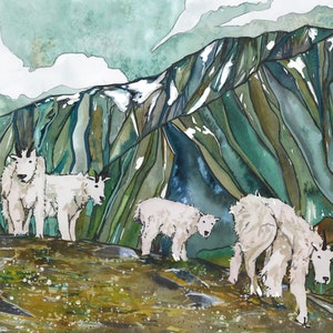 Family Hike- Mountain Goat Family
